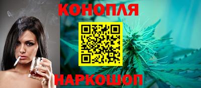 гашик Кингисепп