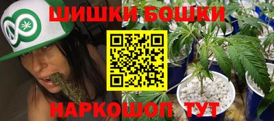 гашик Кингисепп