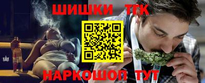 гашик Кингисепп