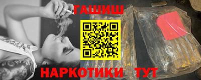 гашик Кингисепп