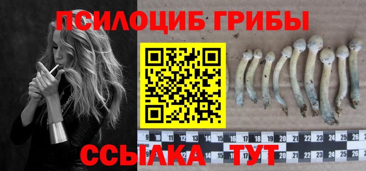 ГЕРОИН Крымск